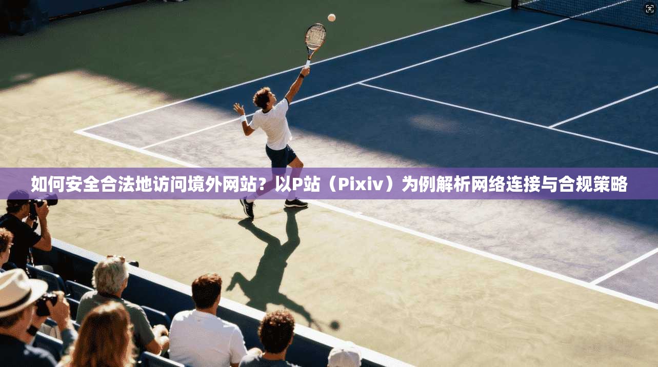 如何安全合法地访问境外网站？以P站（Pixiv）为例解析网络连接与合规策略