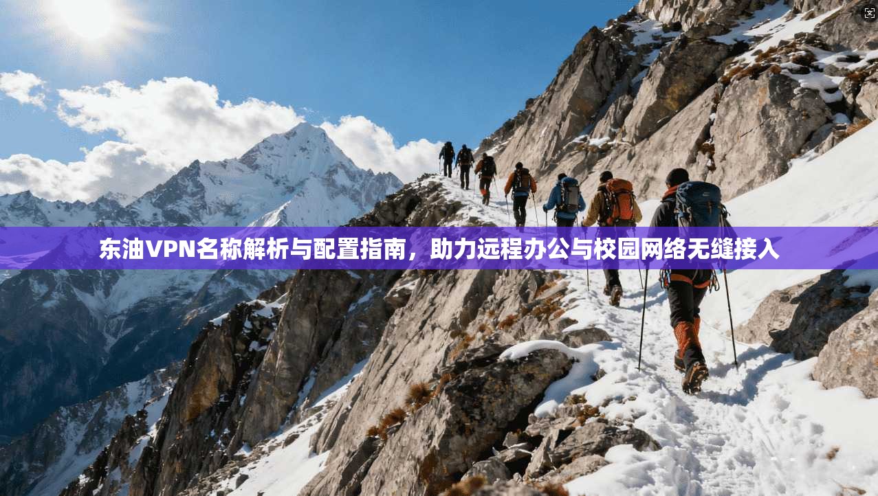 东油VPN名称解析与配置指南，助力远程办公与校园网络无缝接入