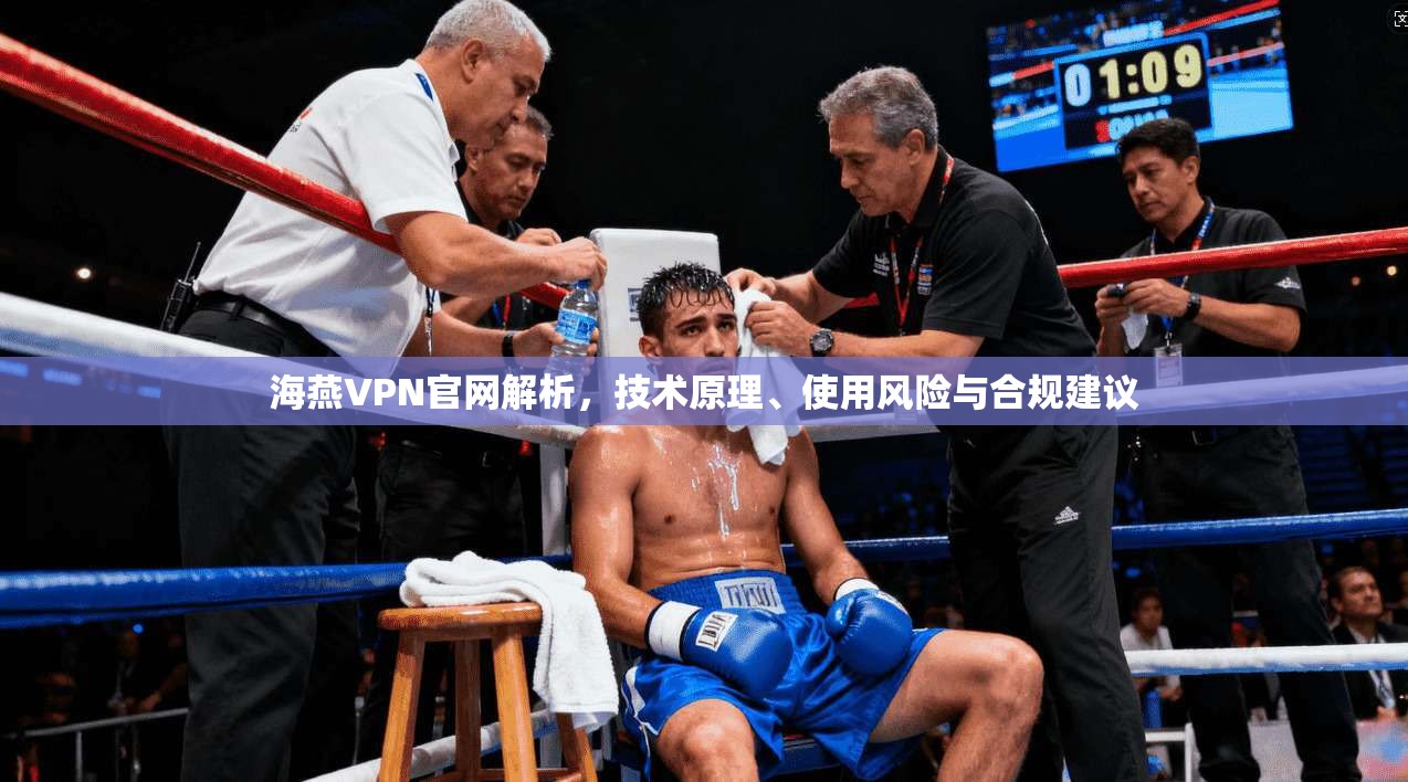 海燕VPN官网解析，技术原理、使用风险与合规建议