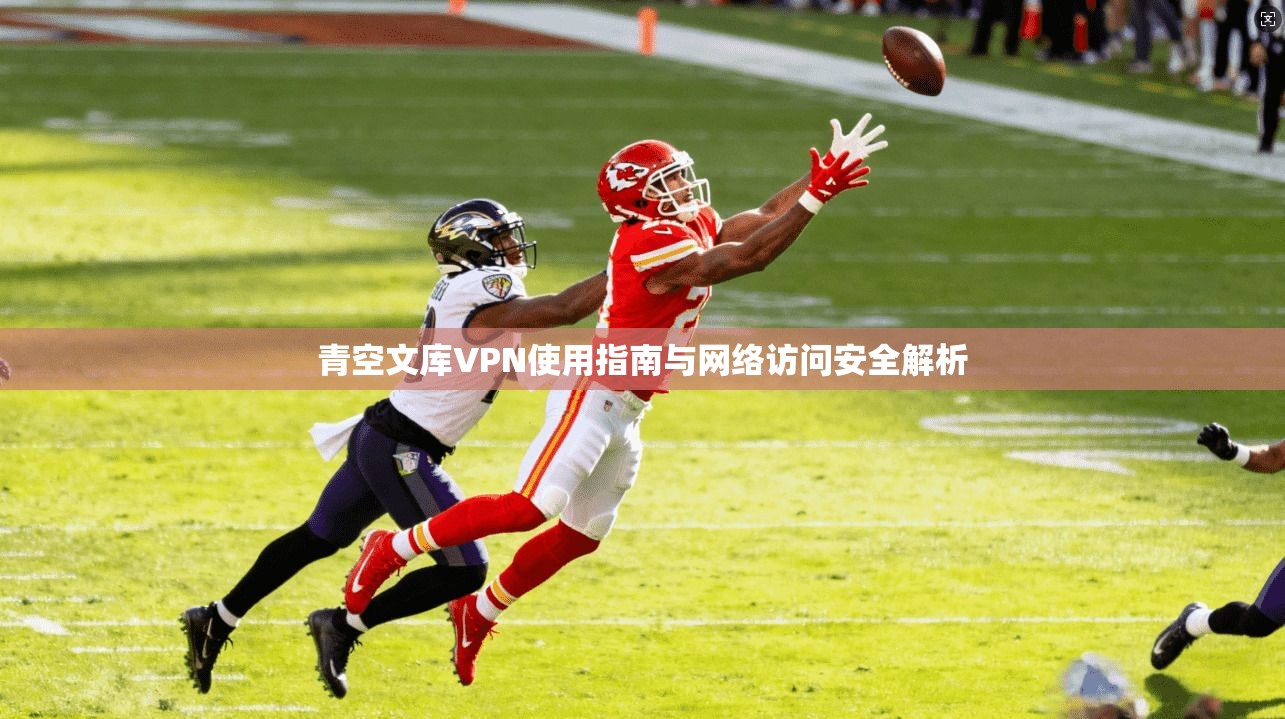 青空文库VPN使用指南与网络访问安全解析