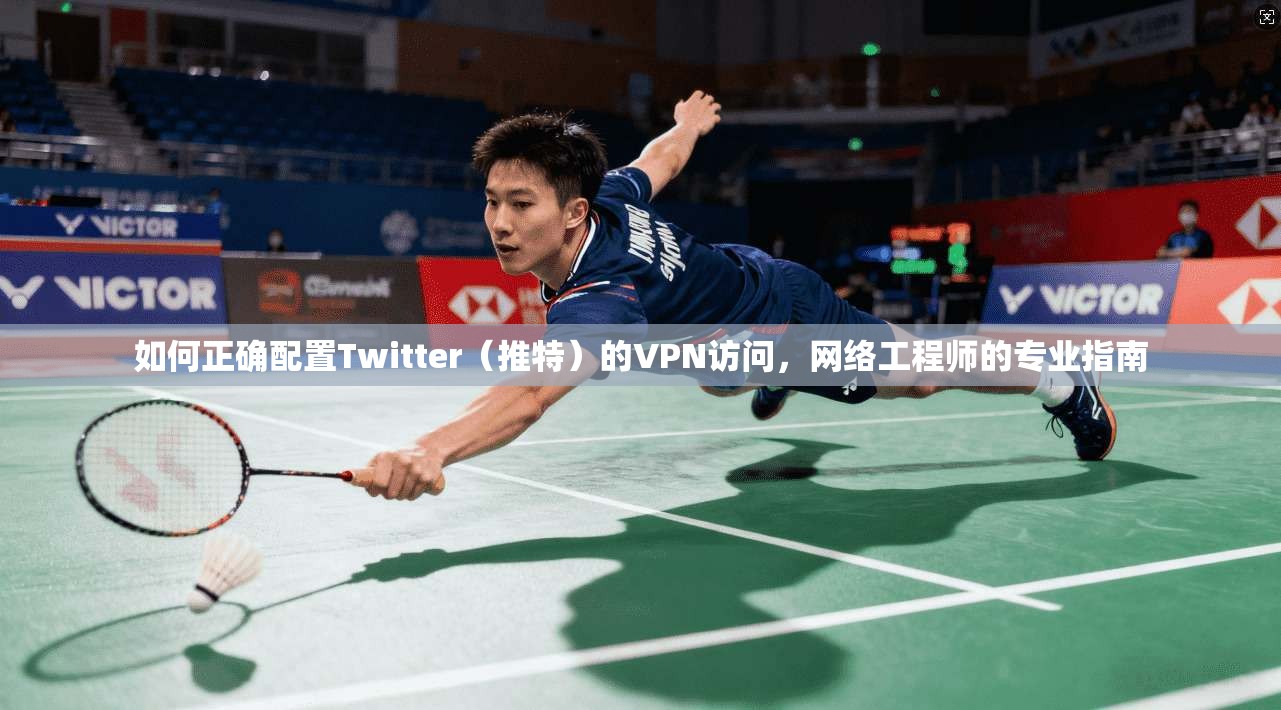 如何正确配置Twitter（推特）的VPN访问，网络工程师的专业指南
