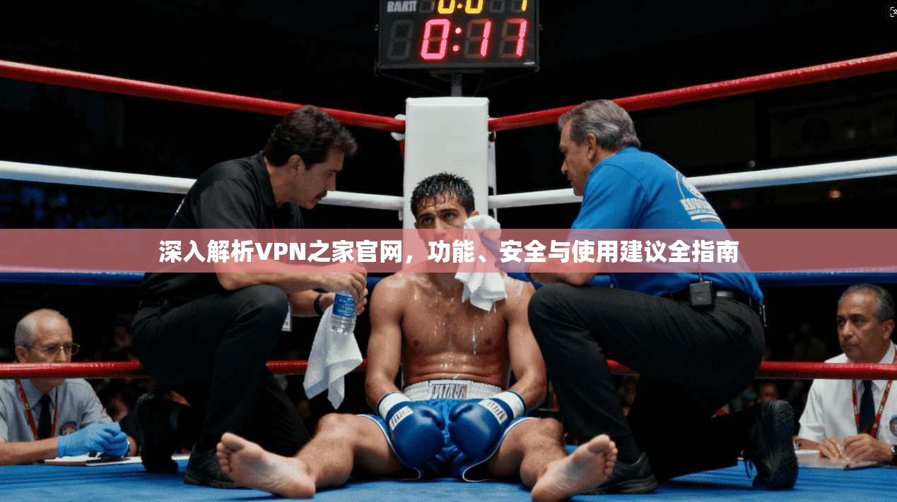 深入解析VPN之家官网，功能、安全与使用建议全指南