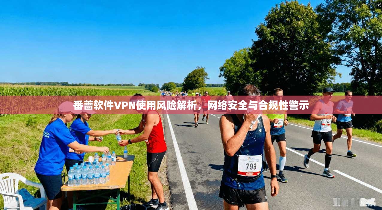 番蔷软件VPN使用风险解析，网络安全与合规性警示