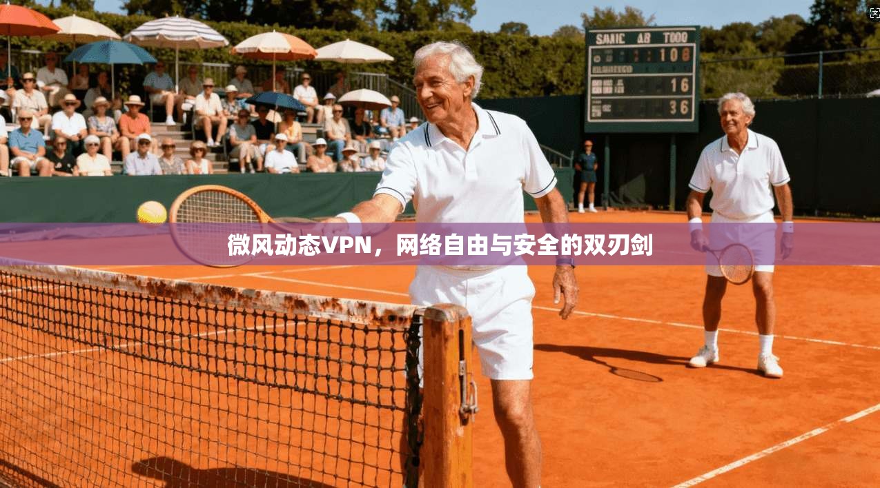微风动态VPN，网络自由与安全的双刃剑