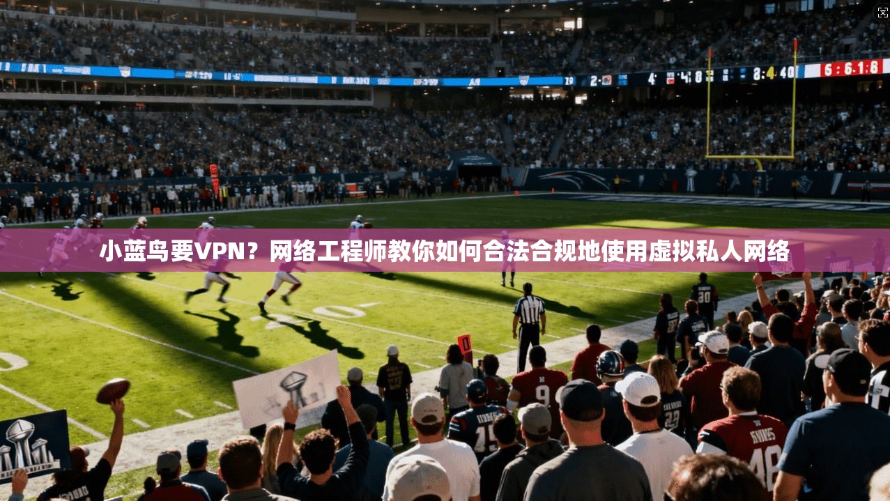 小蓝鸟要VPN？网络工程师教你如何合法合规地使用虚拟私人网络