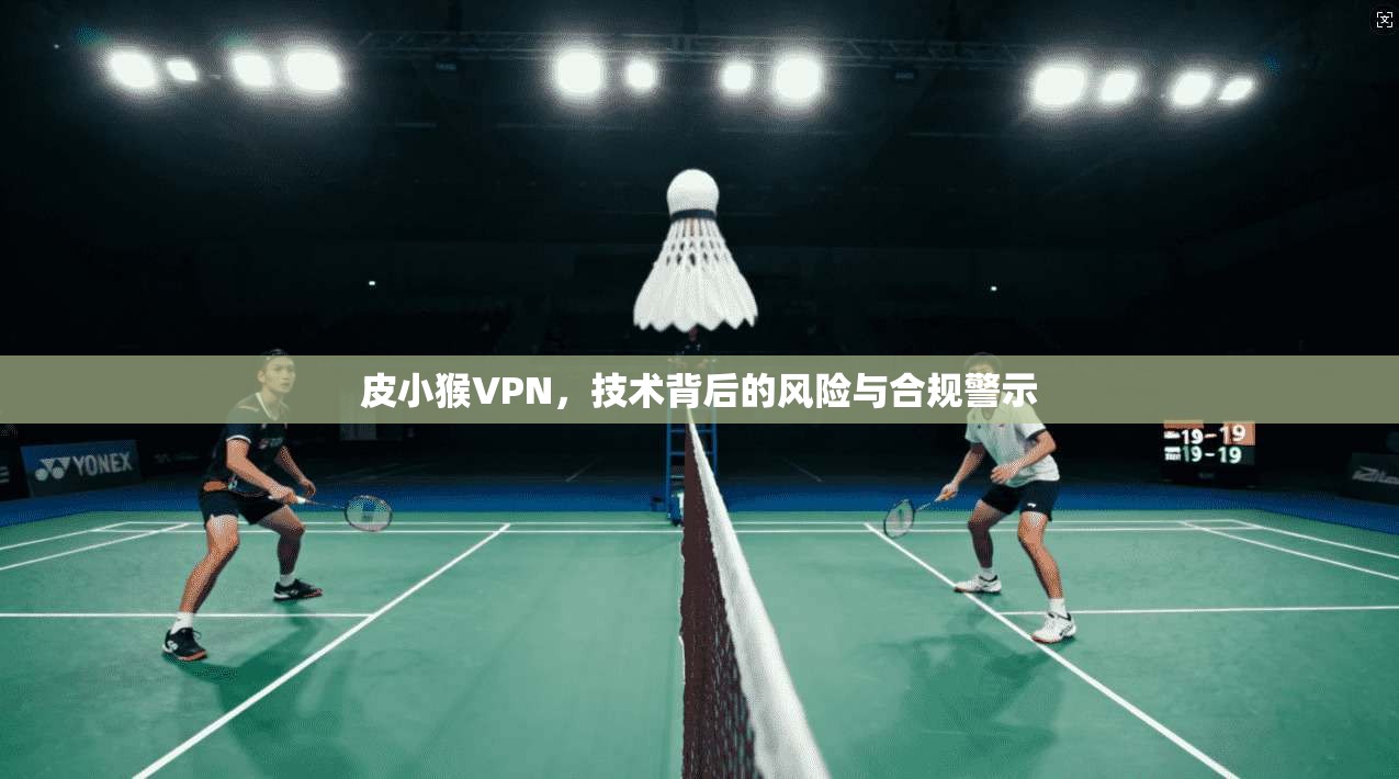 皮小猴VPN，技术背后的风险与合规警示