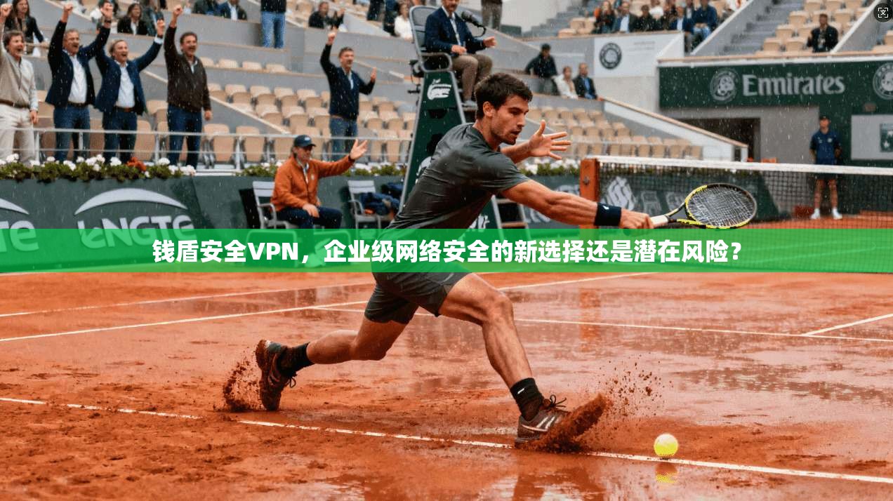 钱盾安全VPN，企业级网络安全的新选择还是潜在风险？