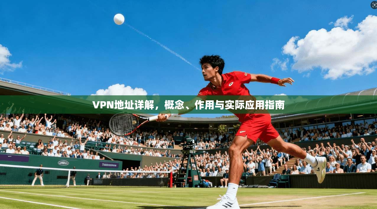 VPN地址详解，概念、作用与实际应用指南