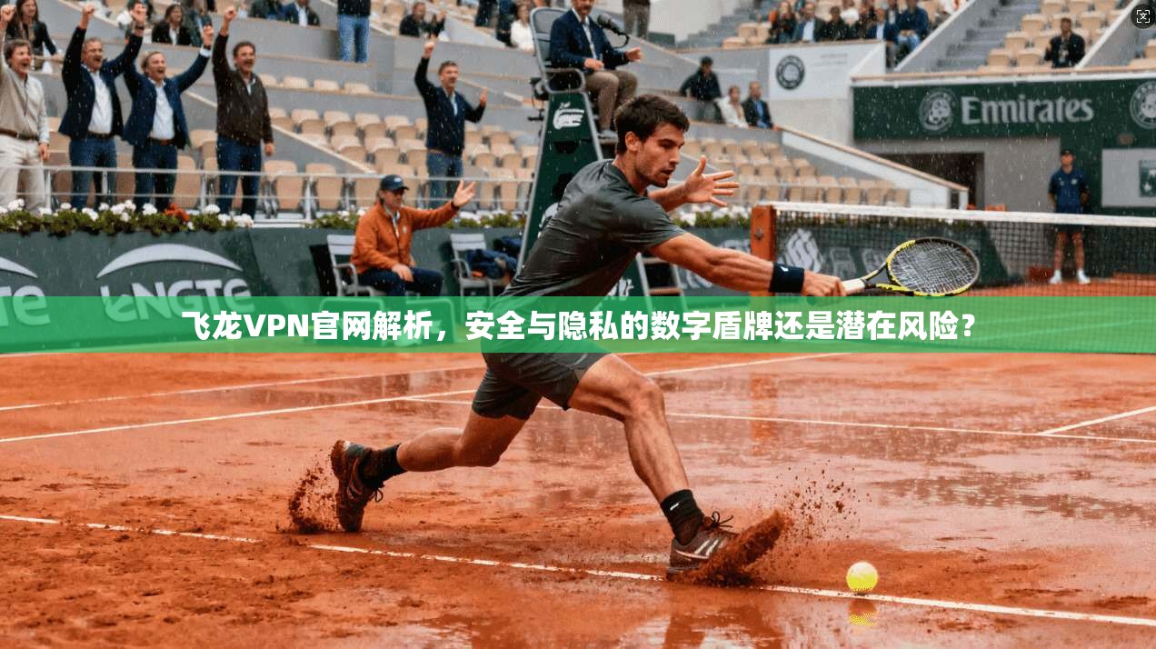 飞龙VPN官网解析，安全与隐私的数字盾牌还是潜在风险？
