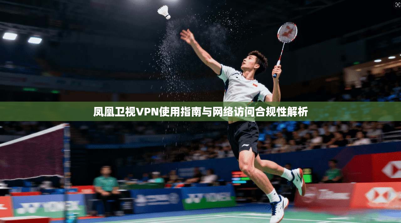 凤凰卫视VPN使用指南与网络访问合规性解析