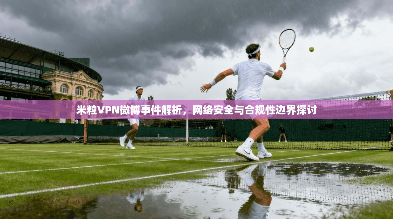 米粒VPN微博事件解析，网络安全与合规性边界探讨
