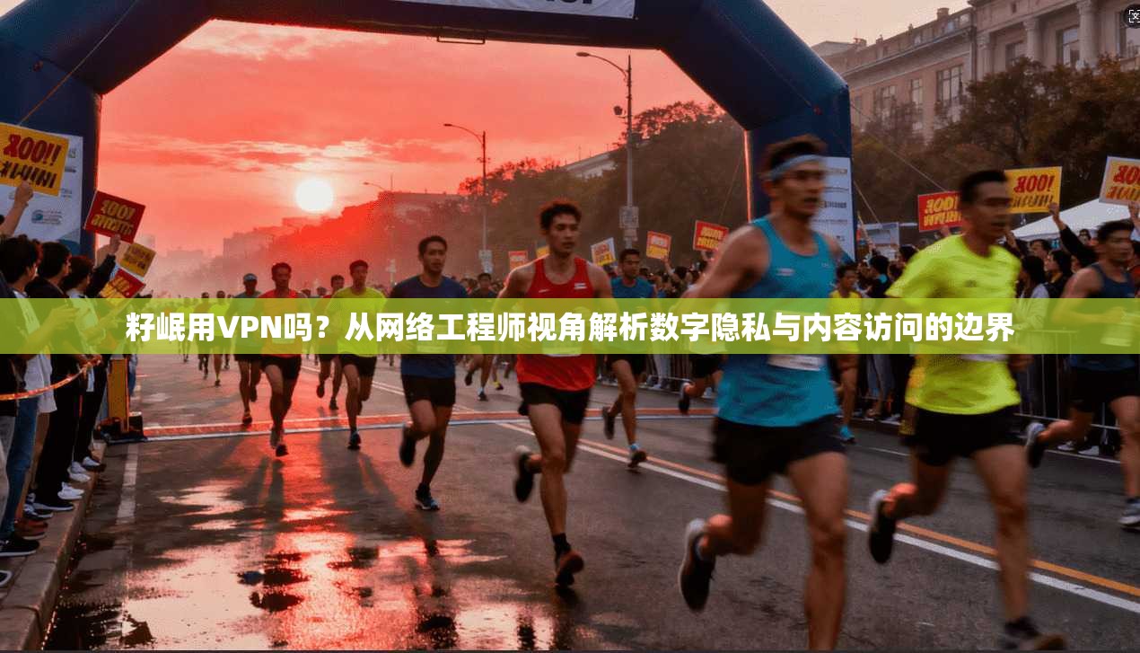 籽岷用VPN吗？从网络工程师视角解析数字隐私与内容访问的边界