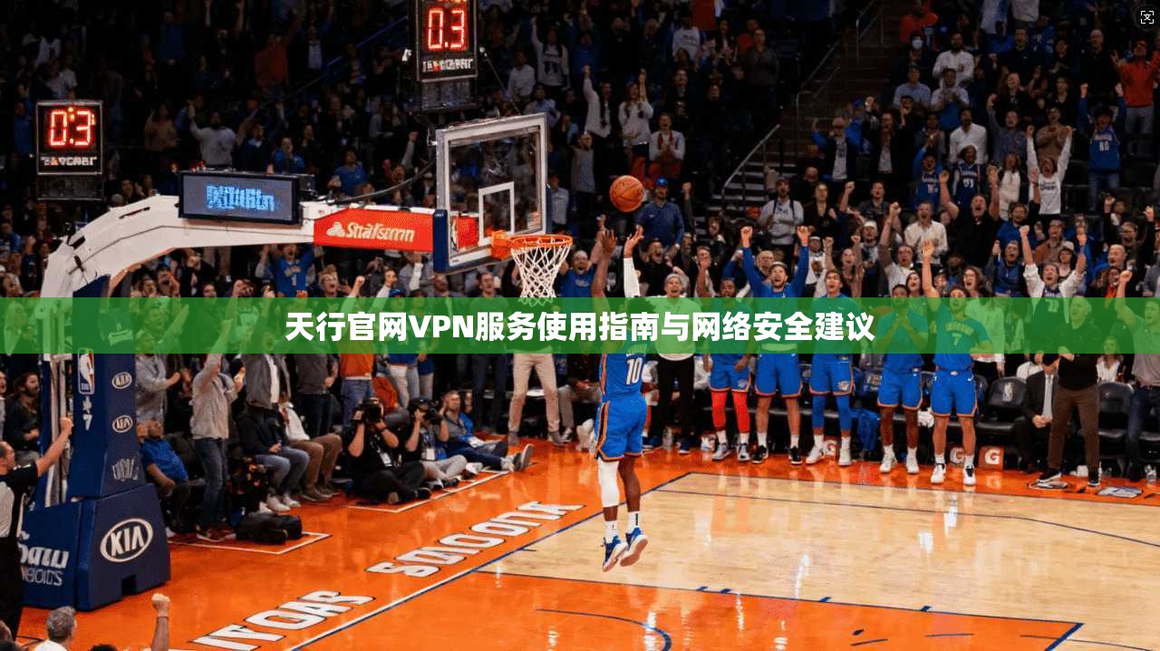 天行官网VPN服务使用指南与网络安全建议