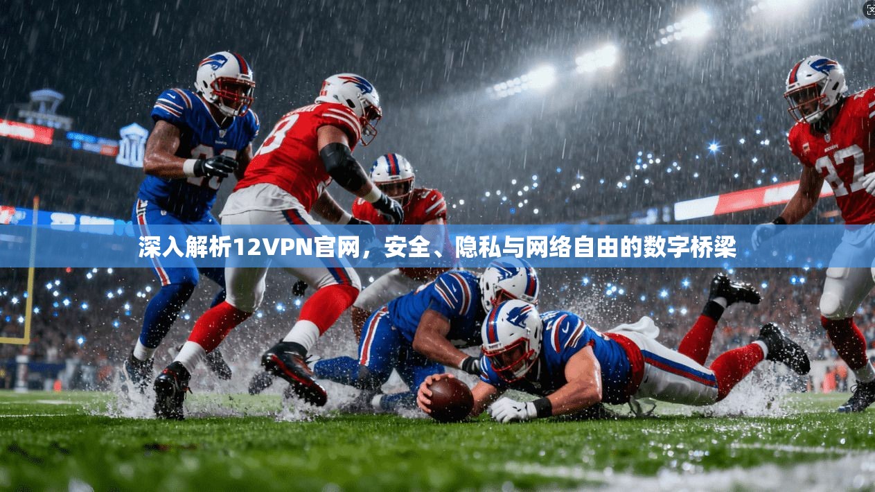 深入解析12VPN官网，安全、隐私与网络自由的数字桥梁