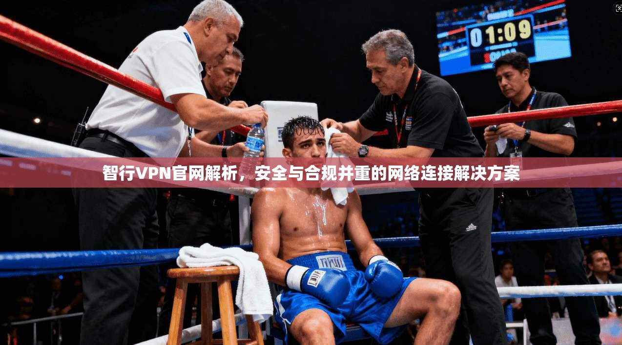 智行VPN官网解析，安全与合规并重的网络连接解决方案