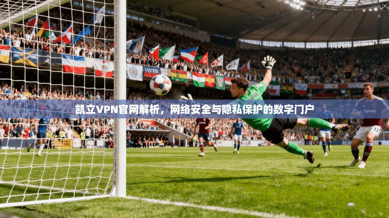 凯立VPN官网解析，网络安全与隐私保护的数字门户