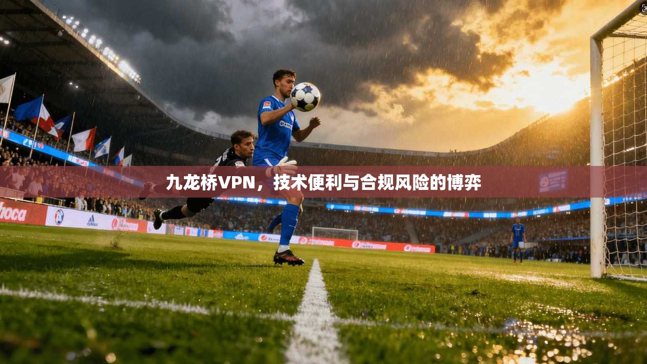 九龙桥VPN，技术便利与合规风险的博弈