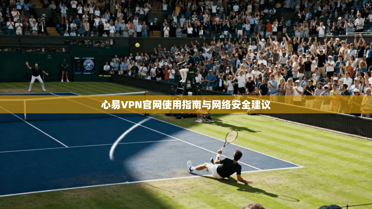 心易VPN官网使用指南与网络安全建议