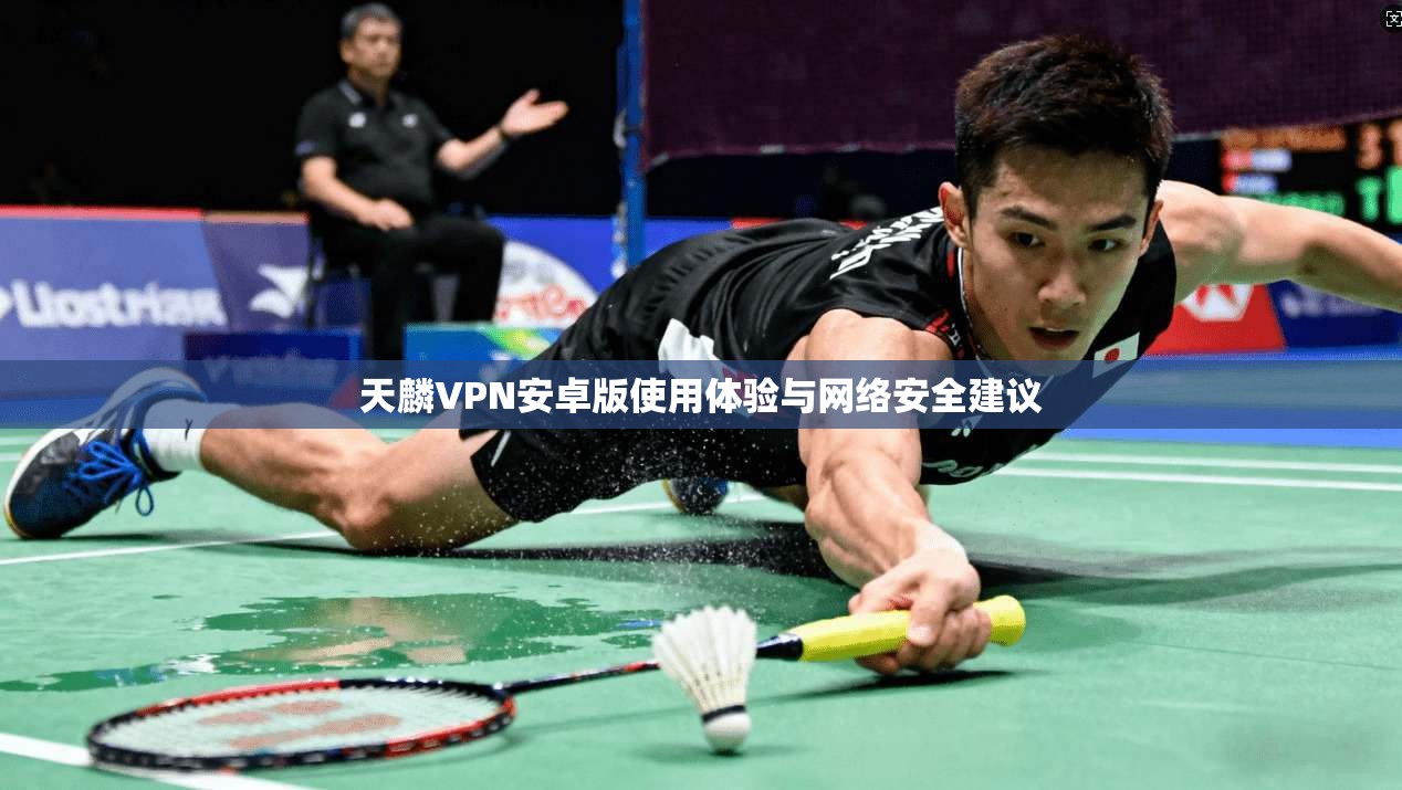 天麟VPN安卓版使用体验与网络安全建议