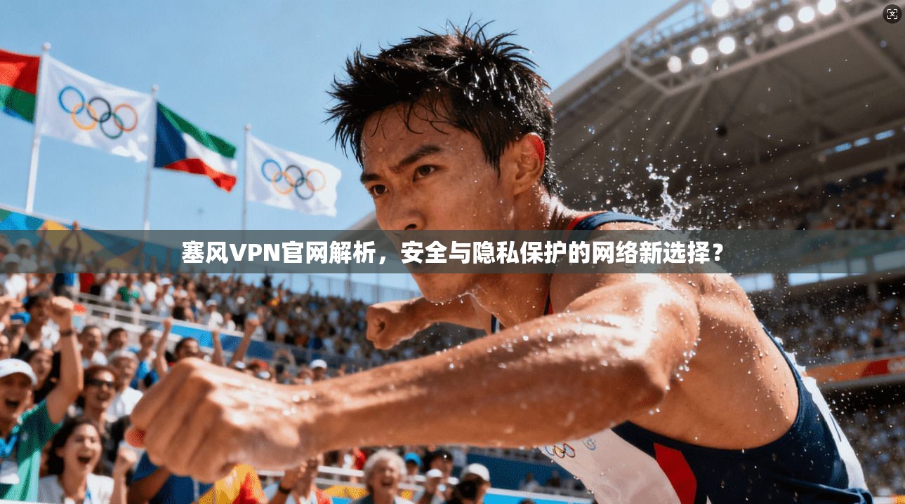 塞风VPN官网解析，安全与隐私保护的网络新选择？
