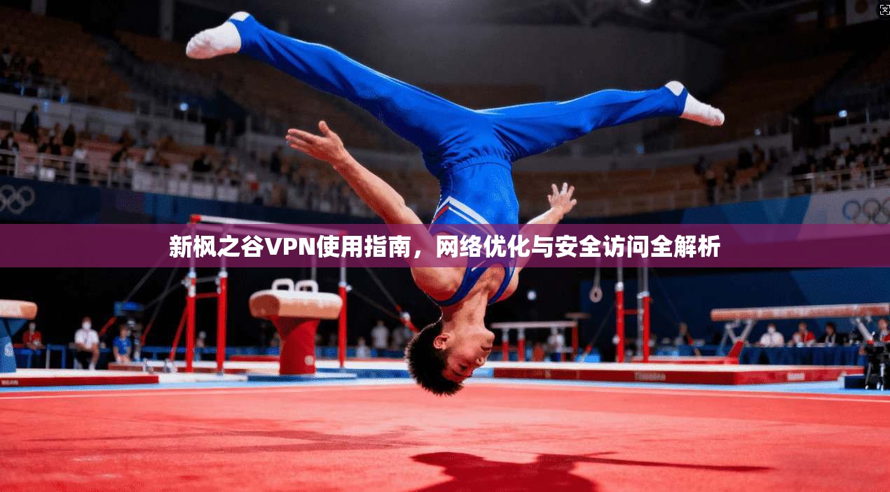 新枫之谷VPN使用指南，网络优化与安全访问全解析