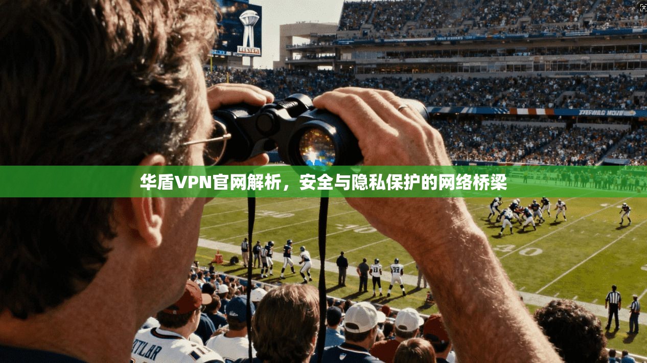 华盾VPN官网解析，安全与隐私保护的网络桥梁
