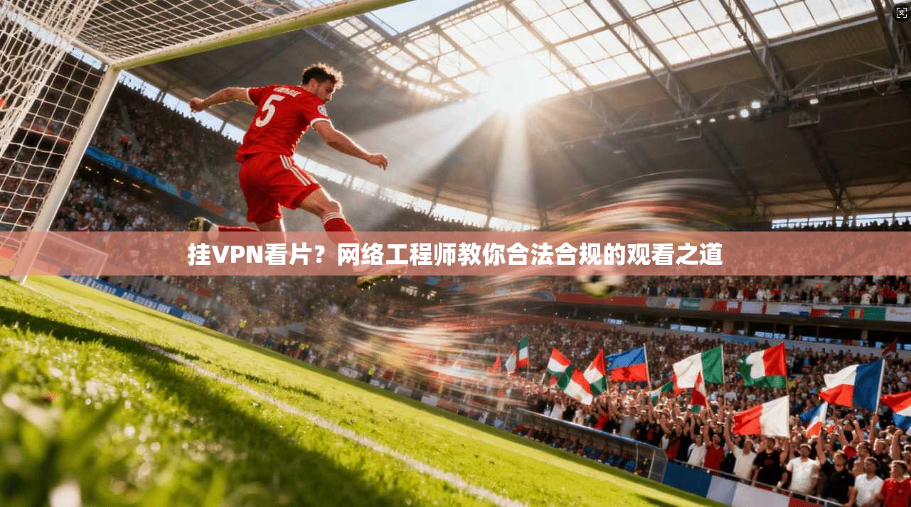 挂VPN看片？网络工程师教你合法合规的观看之道