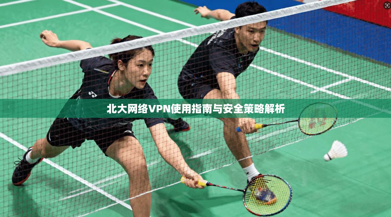北大网络VPN使用指南与安全策略解析