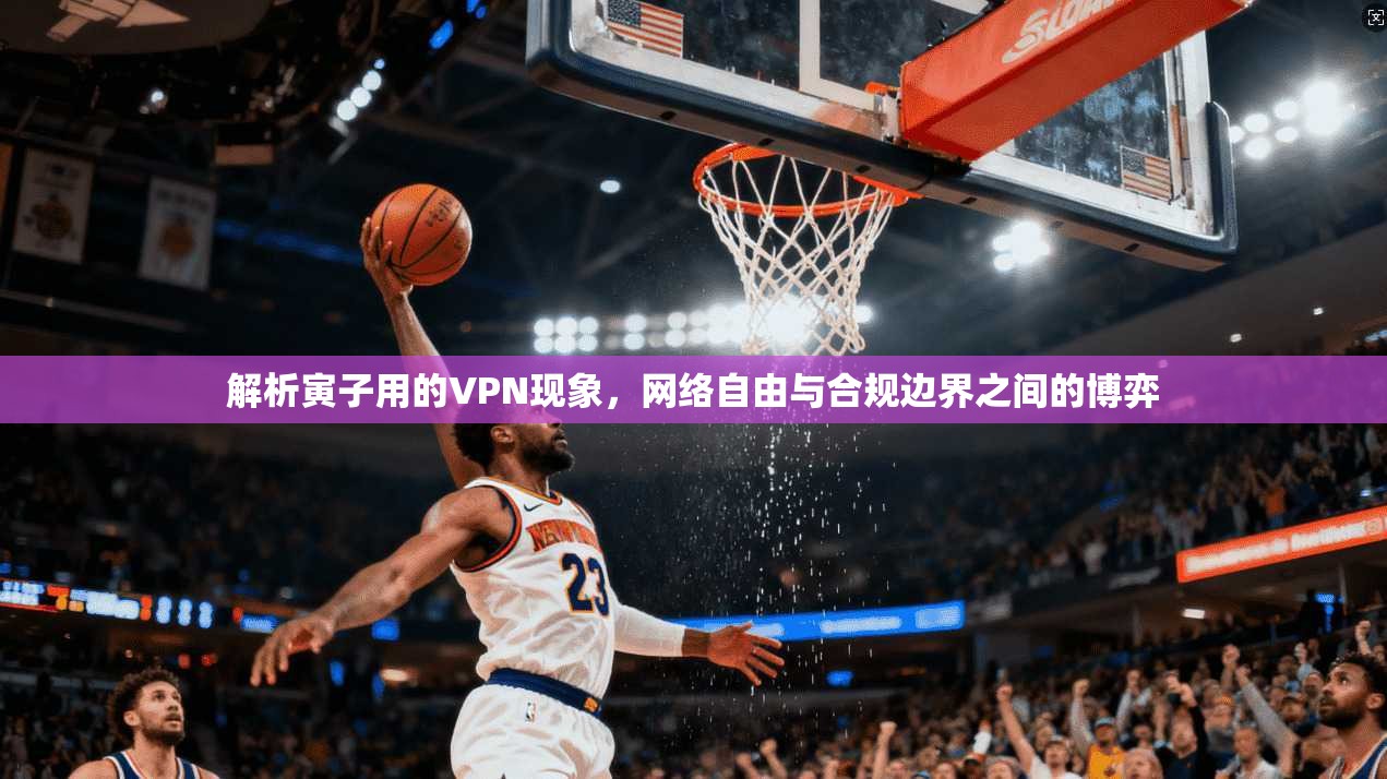 解析寅子用的VPN现象，网络自由与合规边界之间的博弈