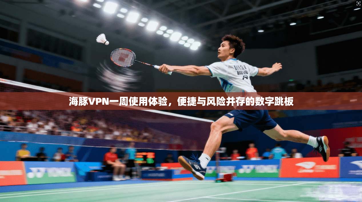 海豚VPN一周使用体验，便捷与风险并存的数字跳板