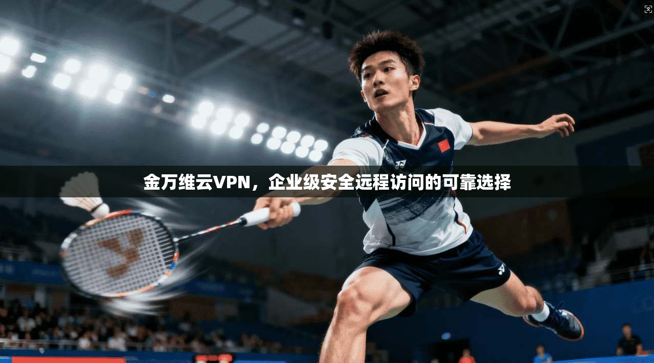 金万维云VPN，企业级安全远程访问的可靠选择