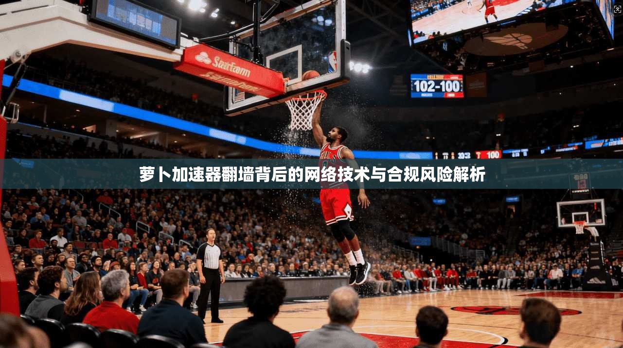 萝卜加速器翻墙背后的网络技术与合规风险解析