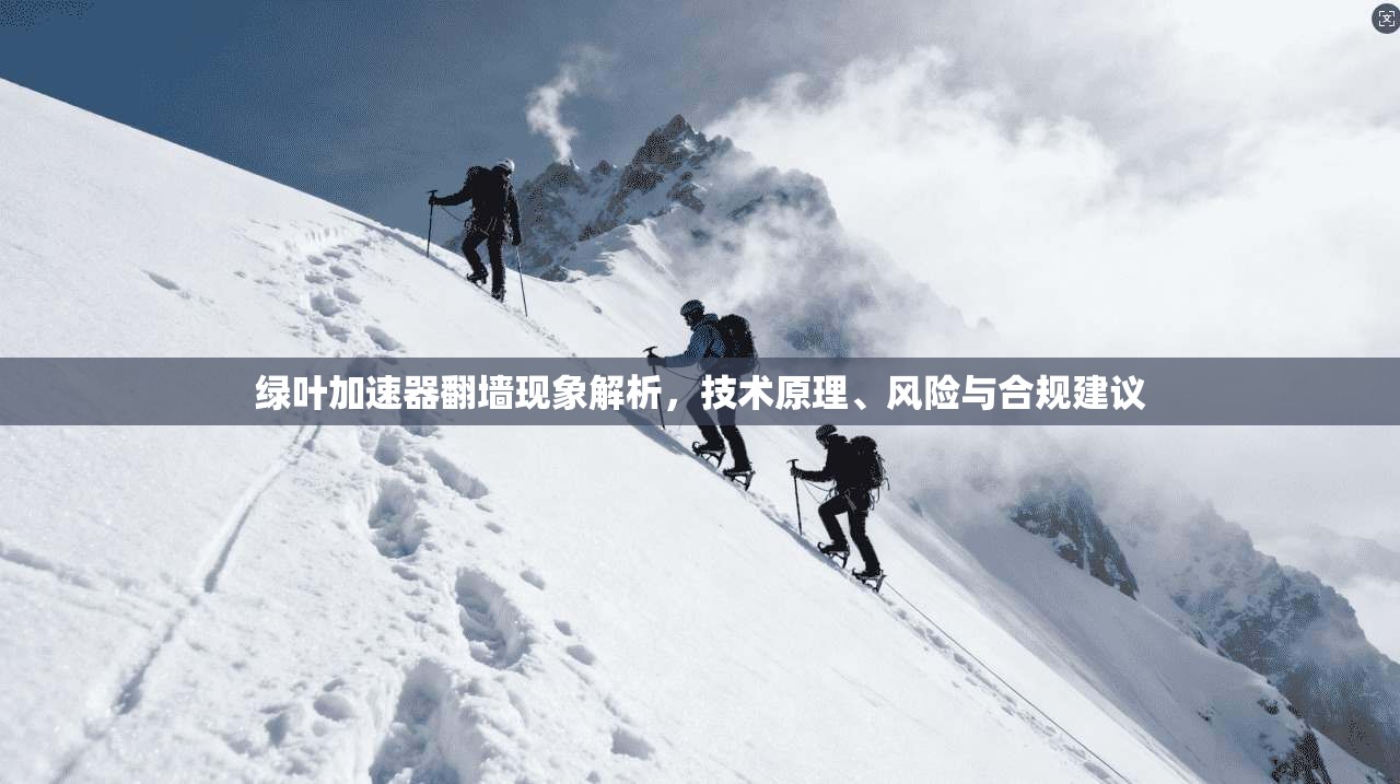绿叶加速器翻墙现象解析，技术原理、风险与合规建议