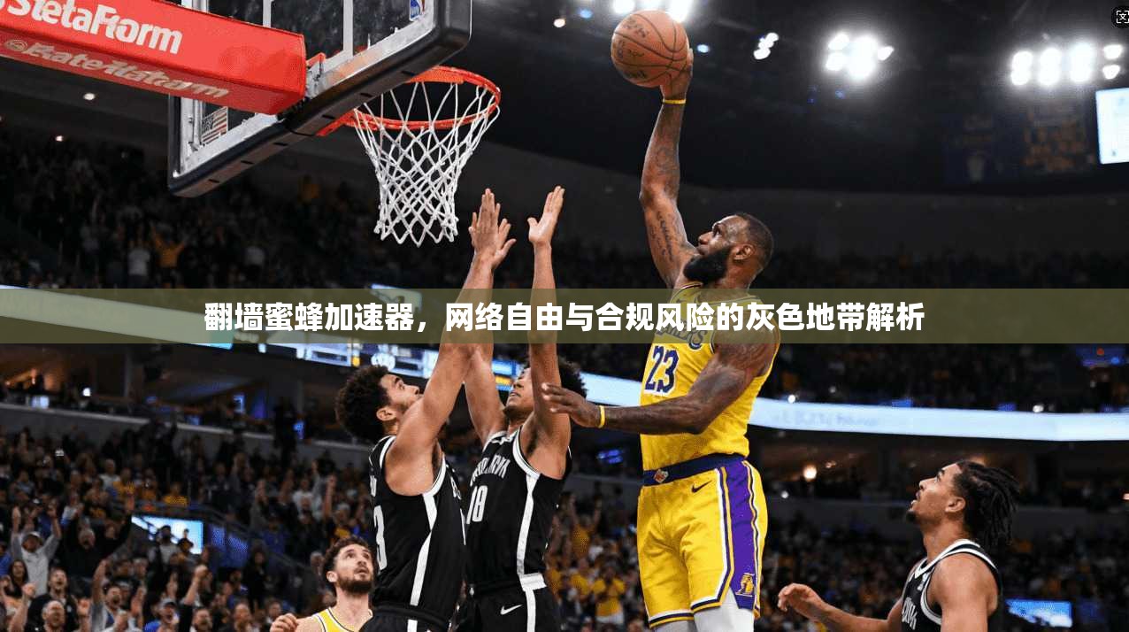 翻墙蜜蜂加速器，网络自由与合规风险的灰色地带解析