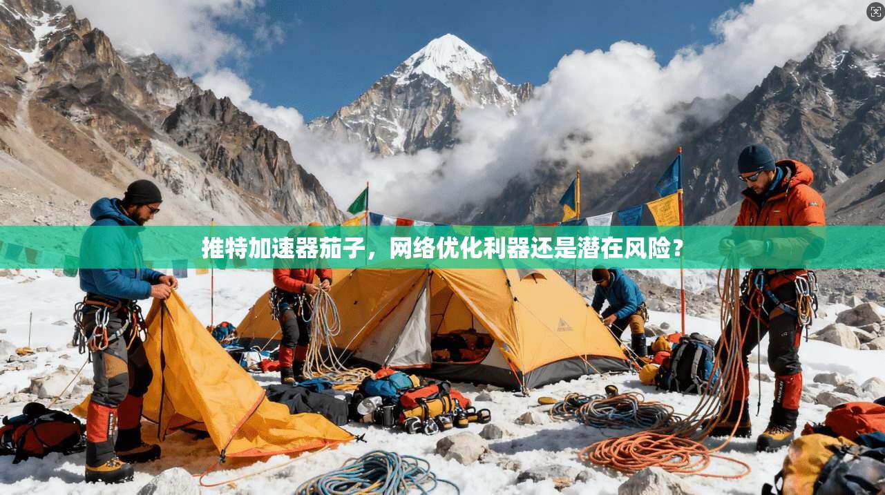 推特加速器茄子，网络优化利器还是潜在风险？