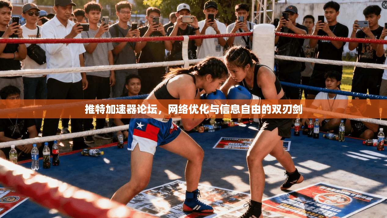 推特加速器论坛，网络优化与信息自由的双刃剑