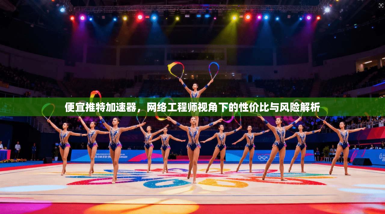 便宜推特加速器，网络工程师视角下的性价比与风险解析