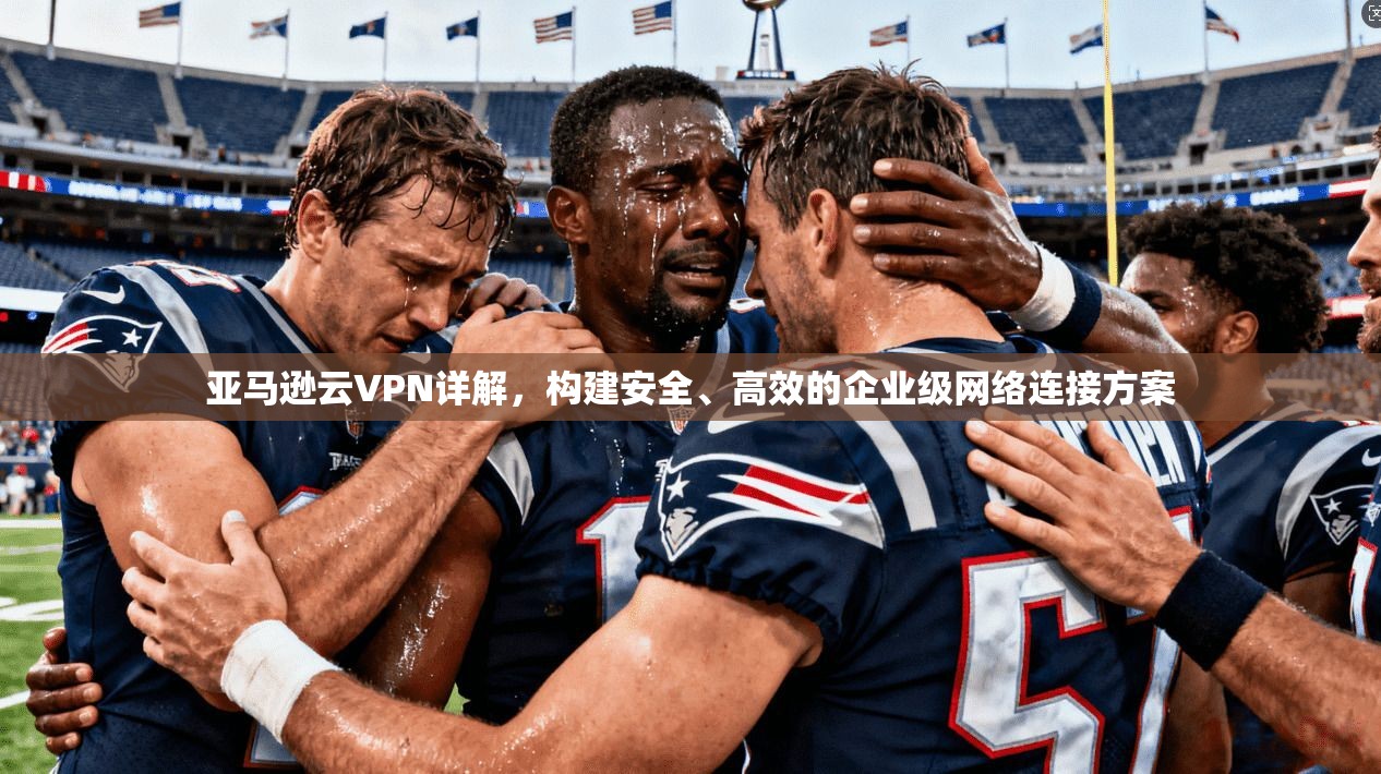 亚马逊云VPN详解，构建安全、高效的企业级网络连接方案