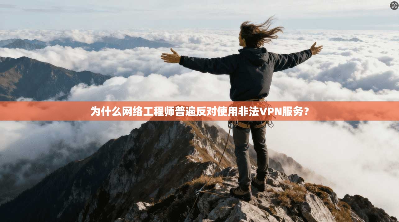 为什么网络工程师普遍反对使用非法VPN服务？