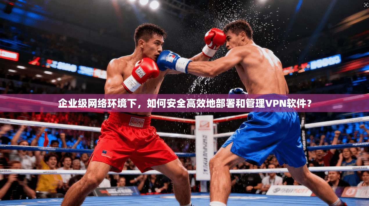 企业级网络环境下，如何安全高效地部署和管理VPN软件？