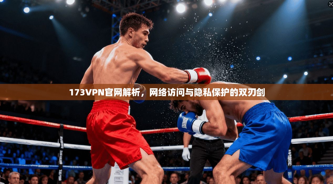 173VPN官网解析，网络访问与隐私保护的双刃剑