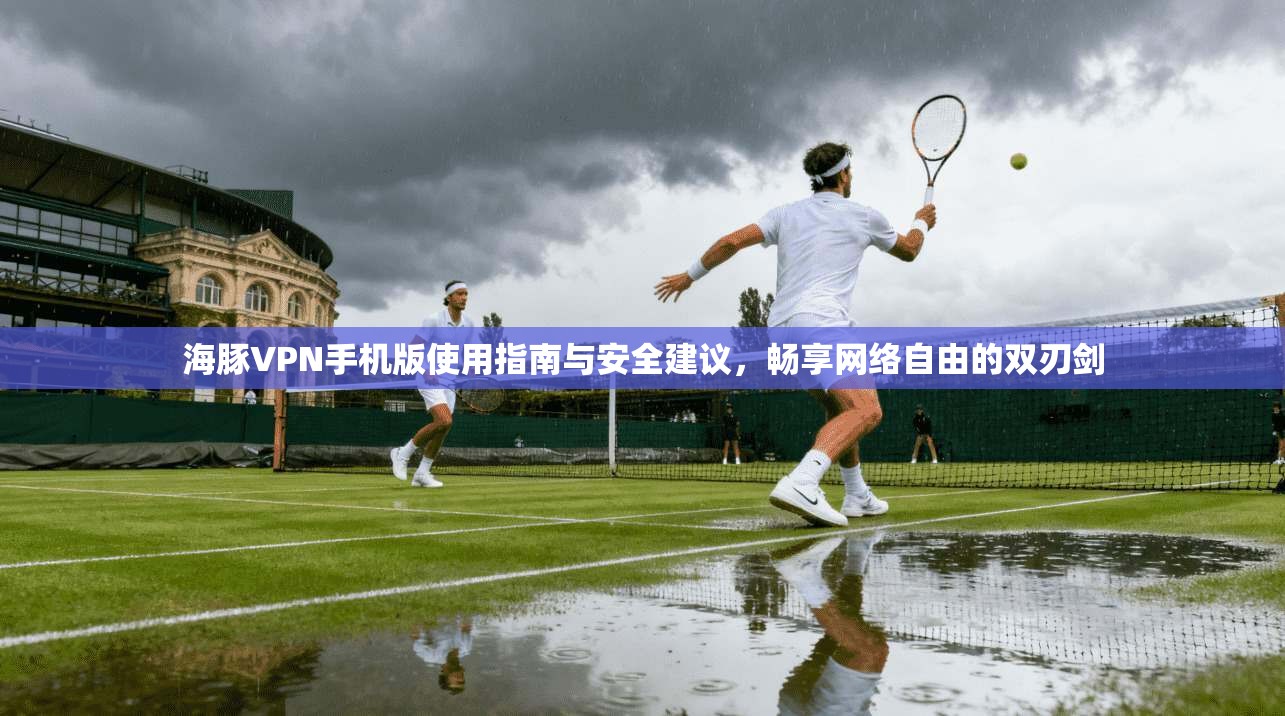 海豚VPN手机版使用指南与安全建议，畅享网络自由的双刃剑
