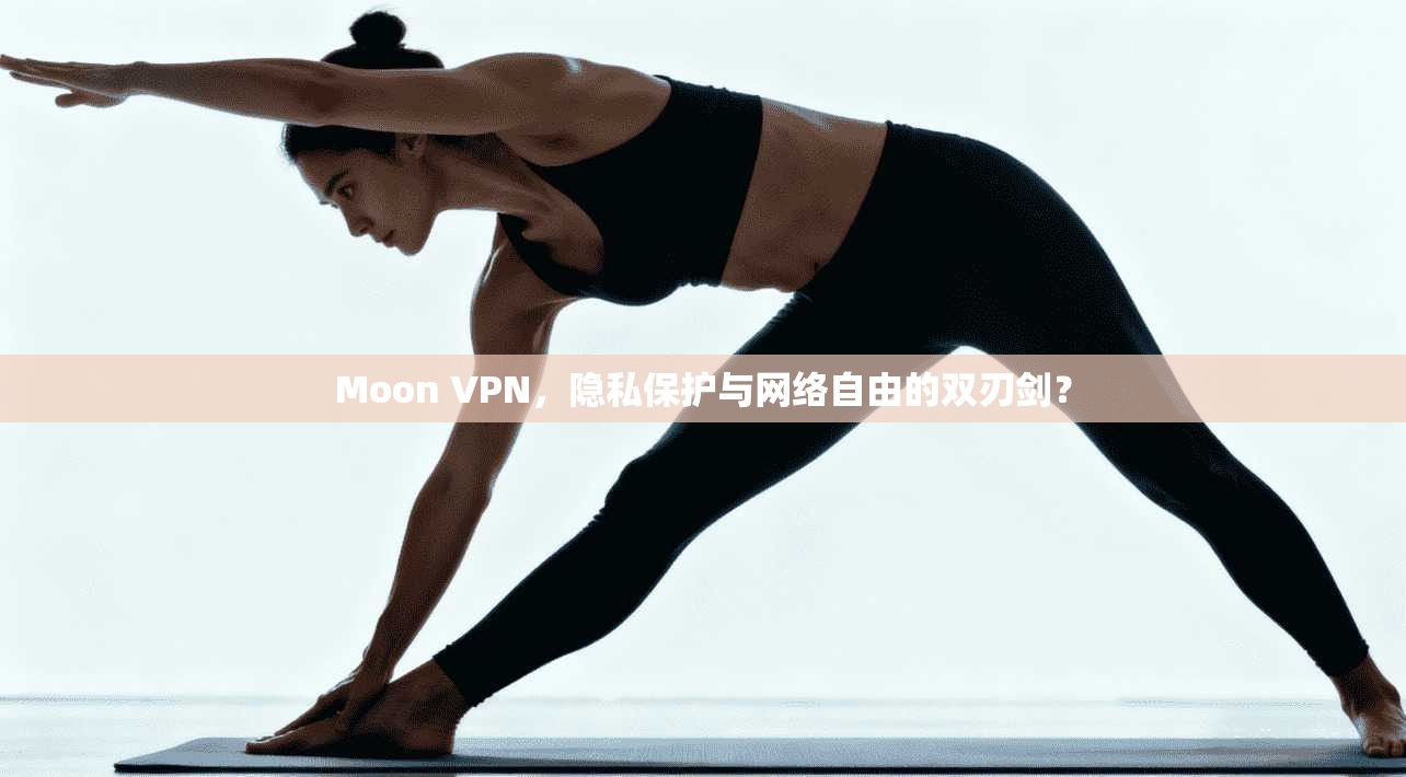 Moon VPN，隐私保护与网络自由的双刃剑？