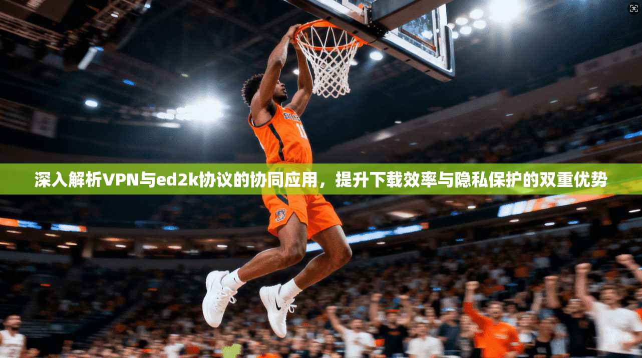 深入解析VPN与ed2k协议的协同应用，提升下载效率与隐私保护的双重优势