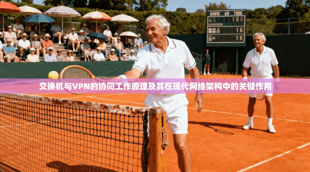 交换机与VPN的协同工作原理及其在现代网络架构中的关键作用