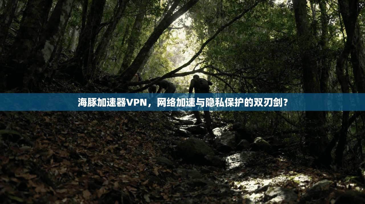 海豚加速器VPN，网络加速与隐私保护的双刃剑？