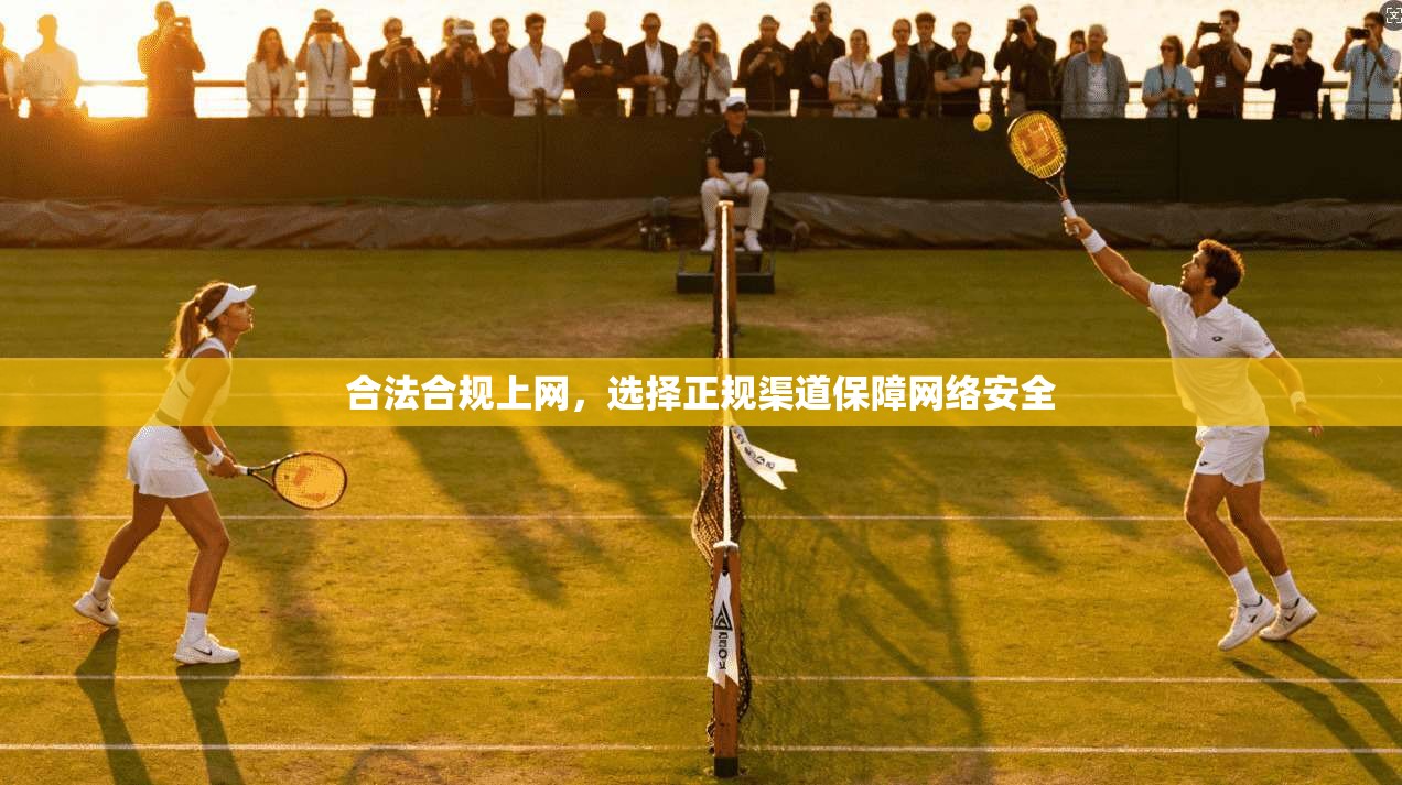 合法合规上网，选择正规渠道保障网络安全