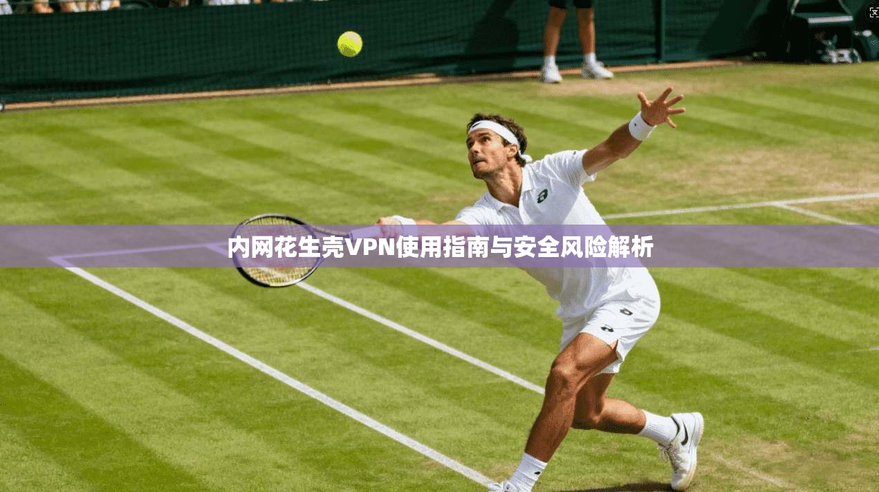 内网花生壳VPN使用指南与安全风险解析
