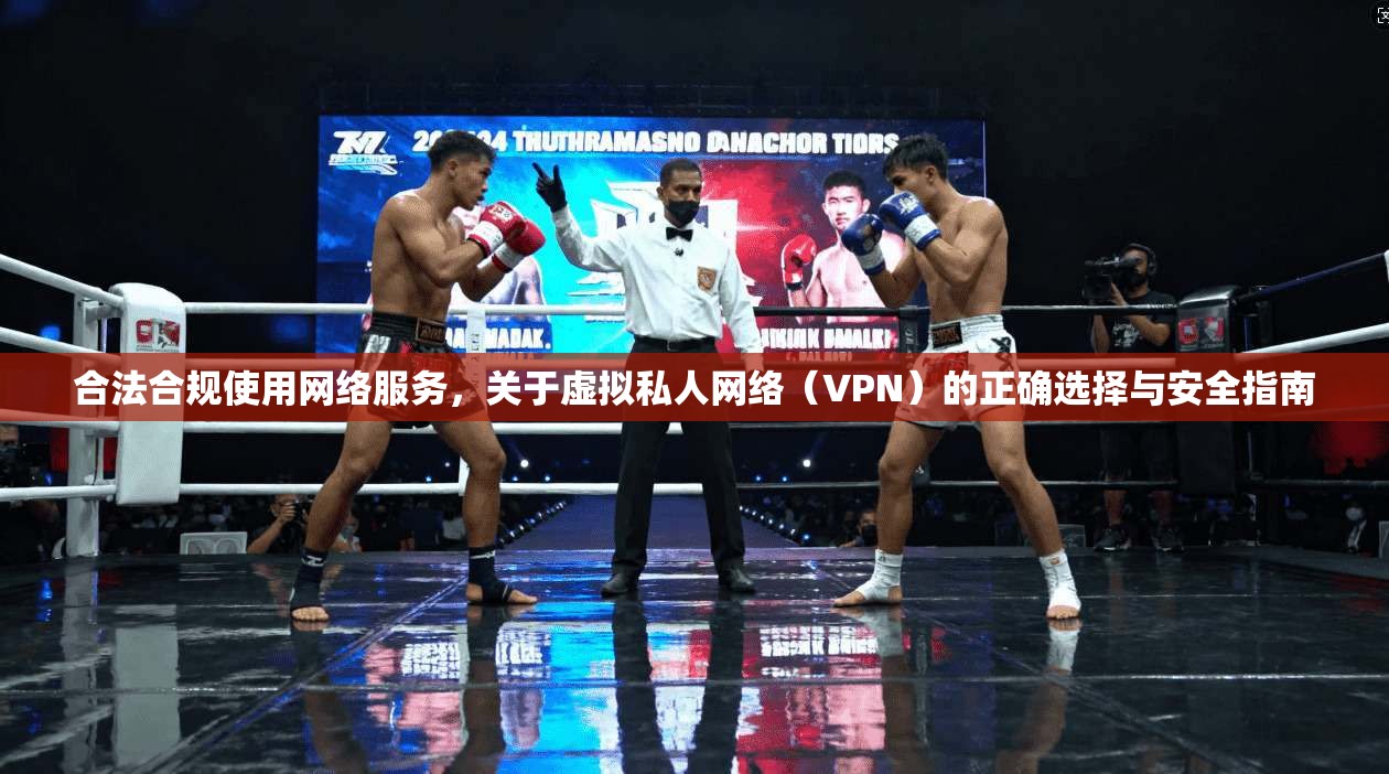 合法合规使用网络服务，关于虚拟私人网络（VPN）的正确选择与安全指南