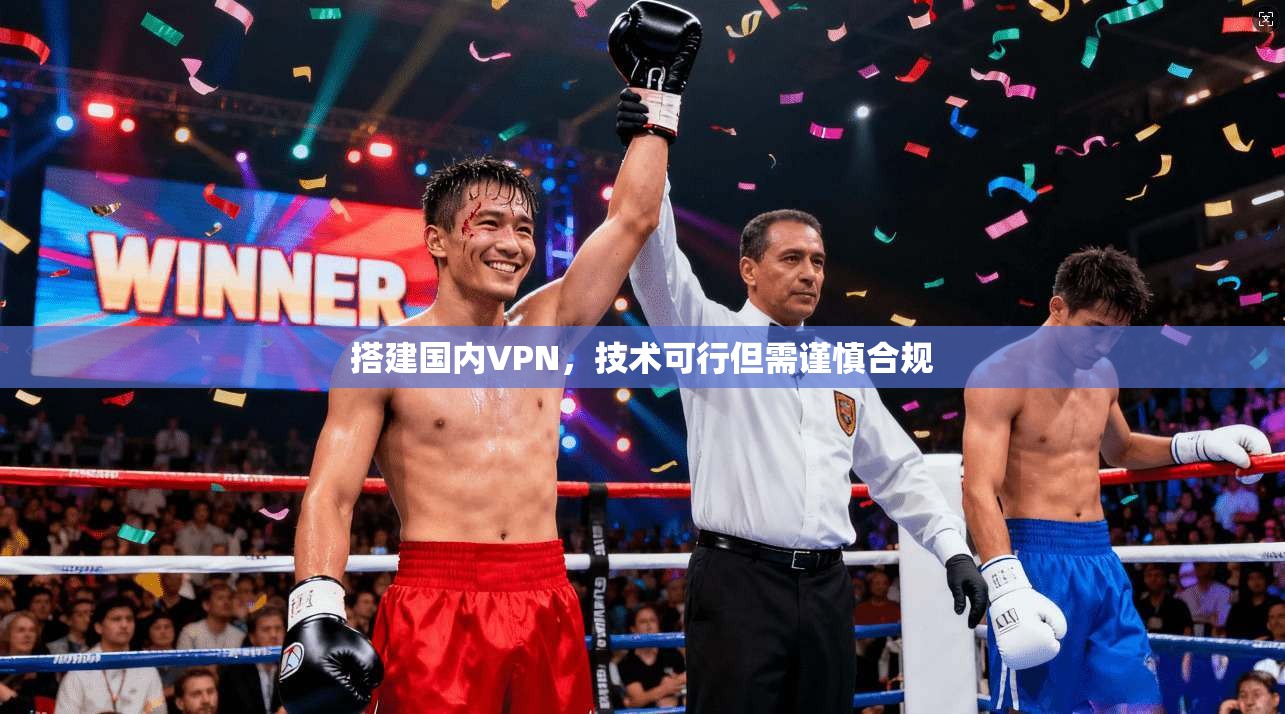 搭建国内VPN，技术可行但需谨慎合规